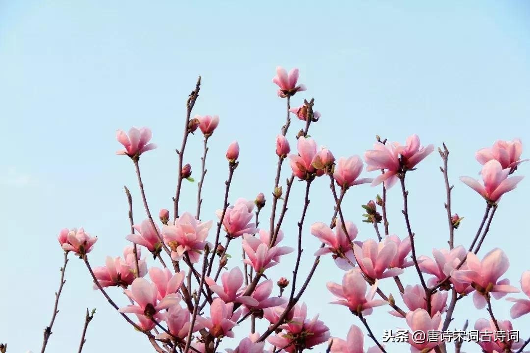 韦庄最美古诗,韦庄十首经典相思