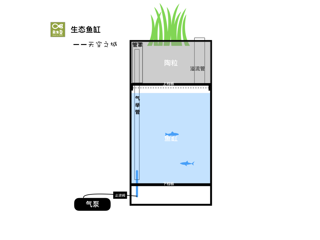 自制免换水生态鱼缸小型,自制自循环生态鱼缸
