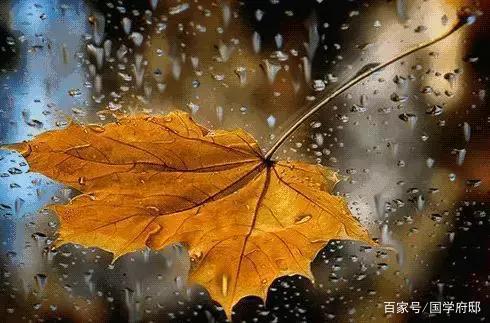 落叶的伤感视频,落叶的伤感名字