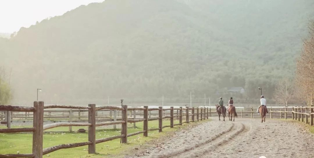 莫干山裸心谷,莫干山裸心谷住宿