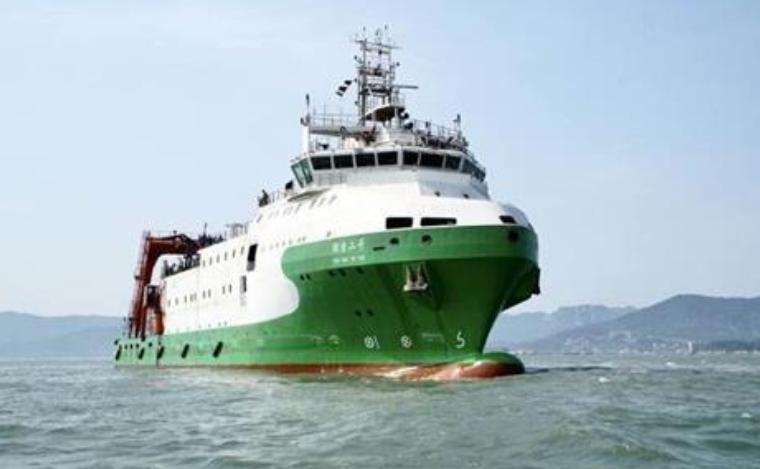 超级恐怖的深海巨鲨,新西兰巨型夜光鲨探秘