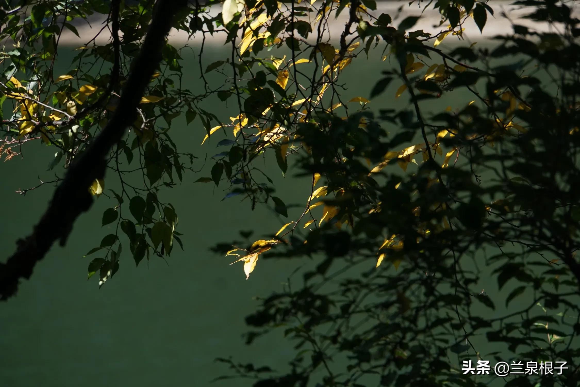 秋日之旅旅游攻略,秋日自驾游视频