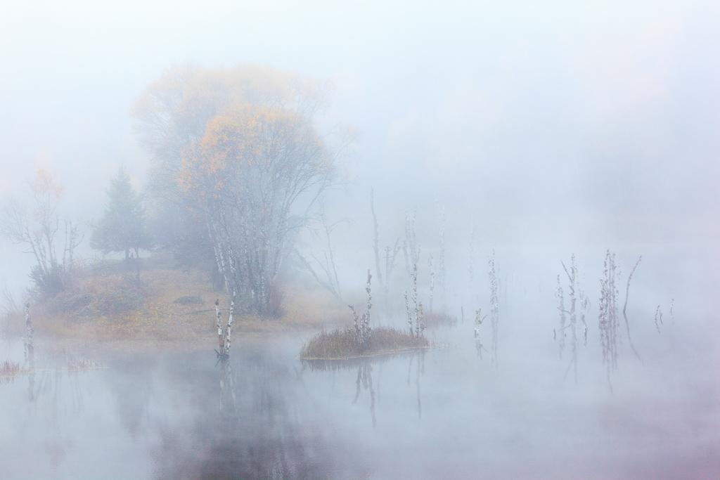 蓦然回首已是二十年美文,岁月无痕蓦然回首的美文