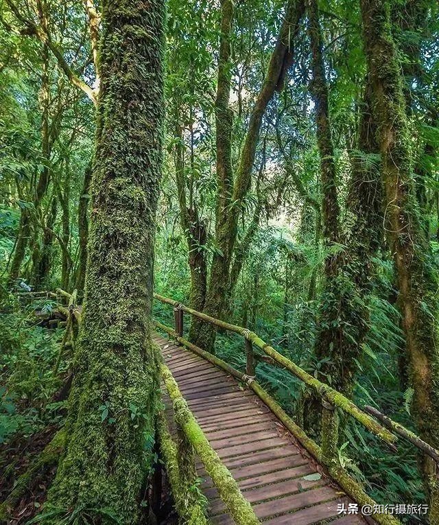 泰国十大奇葩旅游景点,探索泰国最美丽的旅游景点