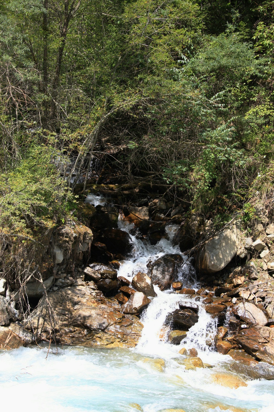 米亚罗-大美理礼县