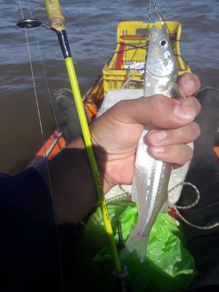 这才是最真实的国外钓鱼人，别崇洋媚外了，原来我们都被骗了