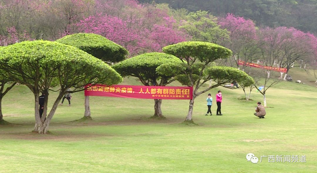 南宁青秀山景区5月,青秀山会限客流吗