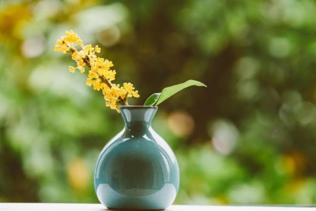 一念天堂一念地狱放下执念,一念天堂一念地狱从此无念