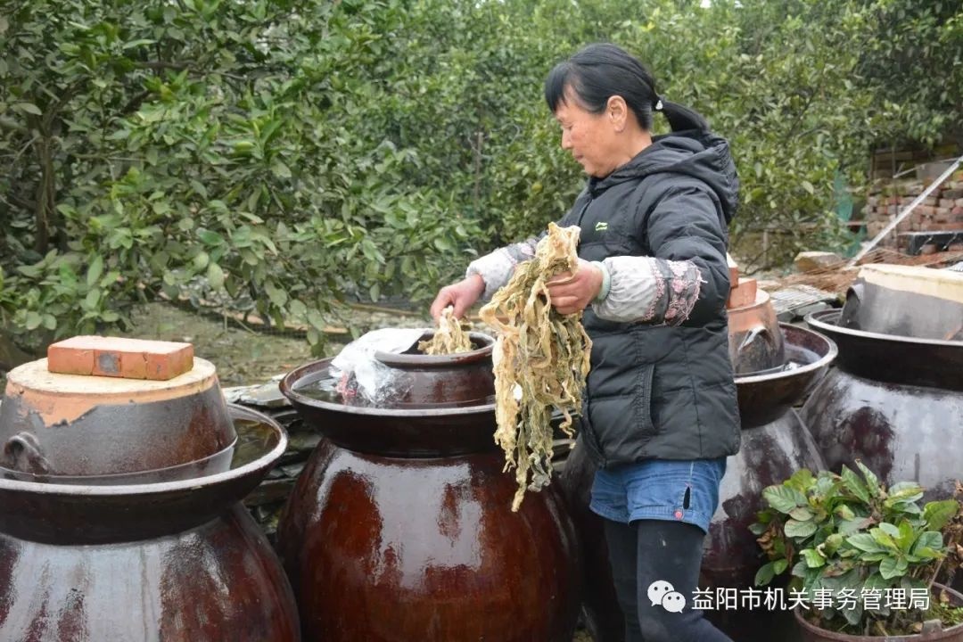 擦菜子变“网红”直播带货为富民村“打call”