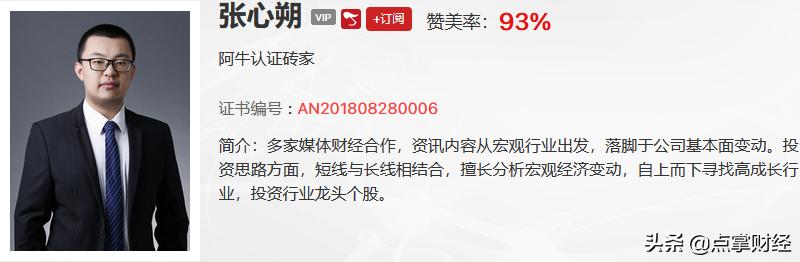 张心朔股评,张心朔谈中国股票