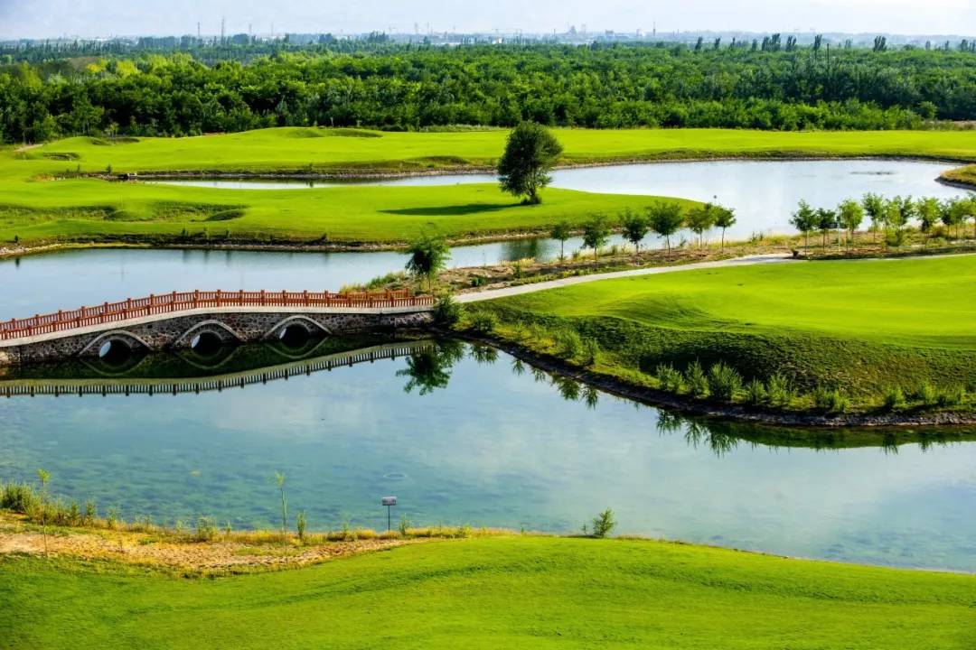 中卫金沙岛风景点介绍,中卫金沙岛震撼花海