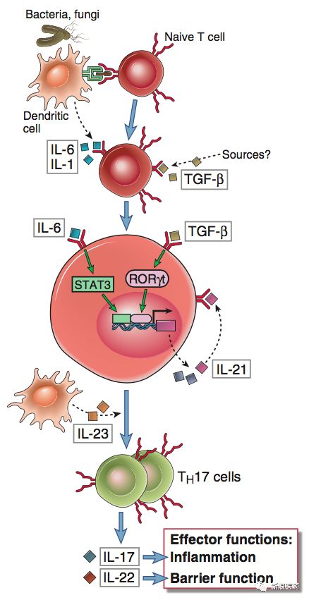 诺华苏金单抗上市公司,诺华新药