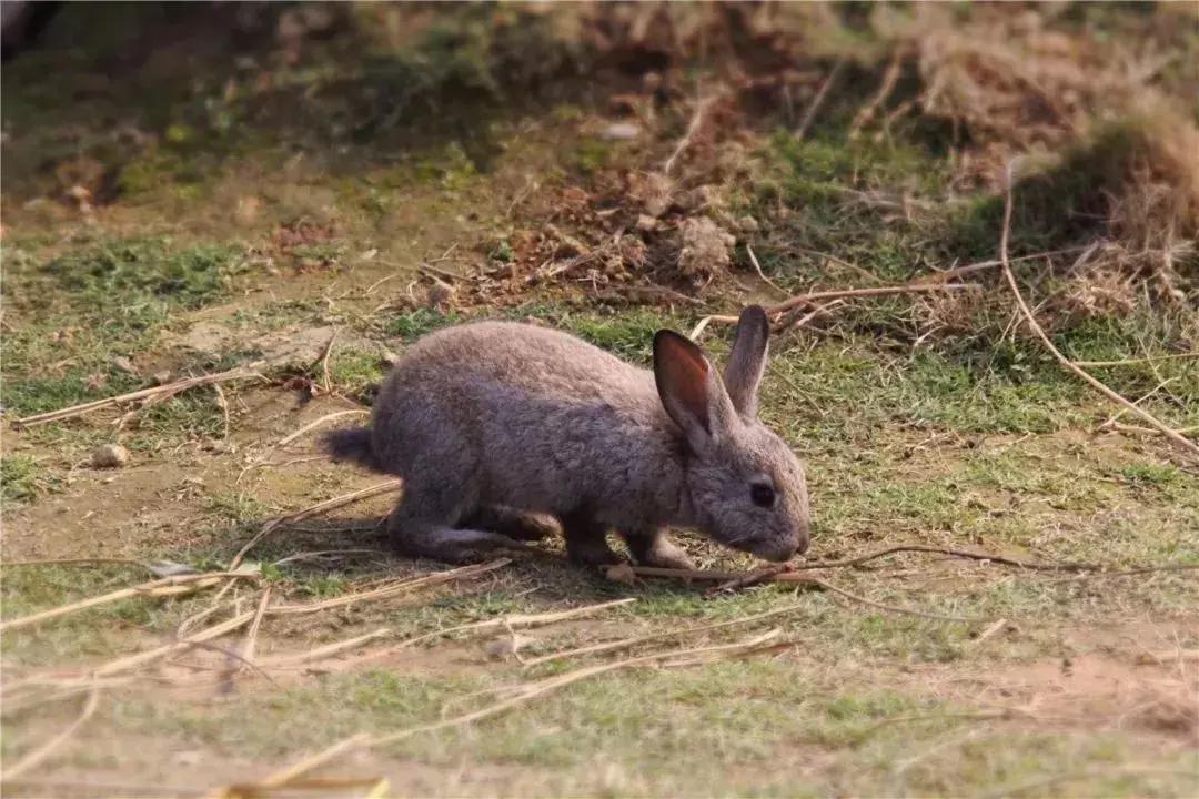 清远七天玩乐,清远一日游最佳景点一览表最新