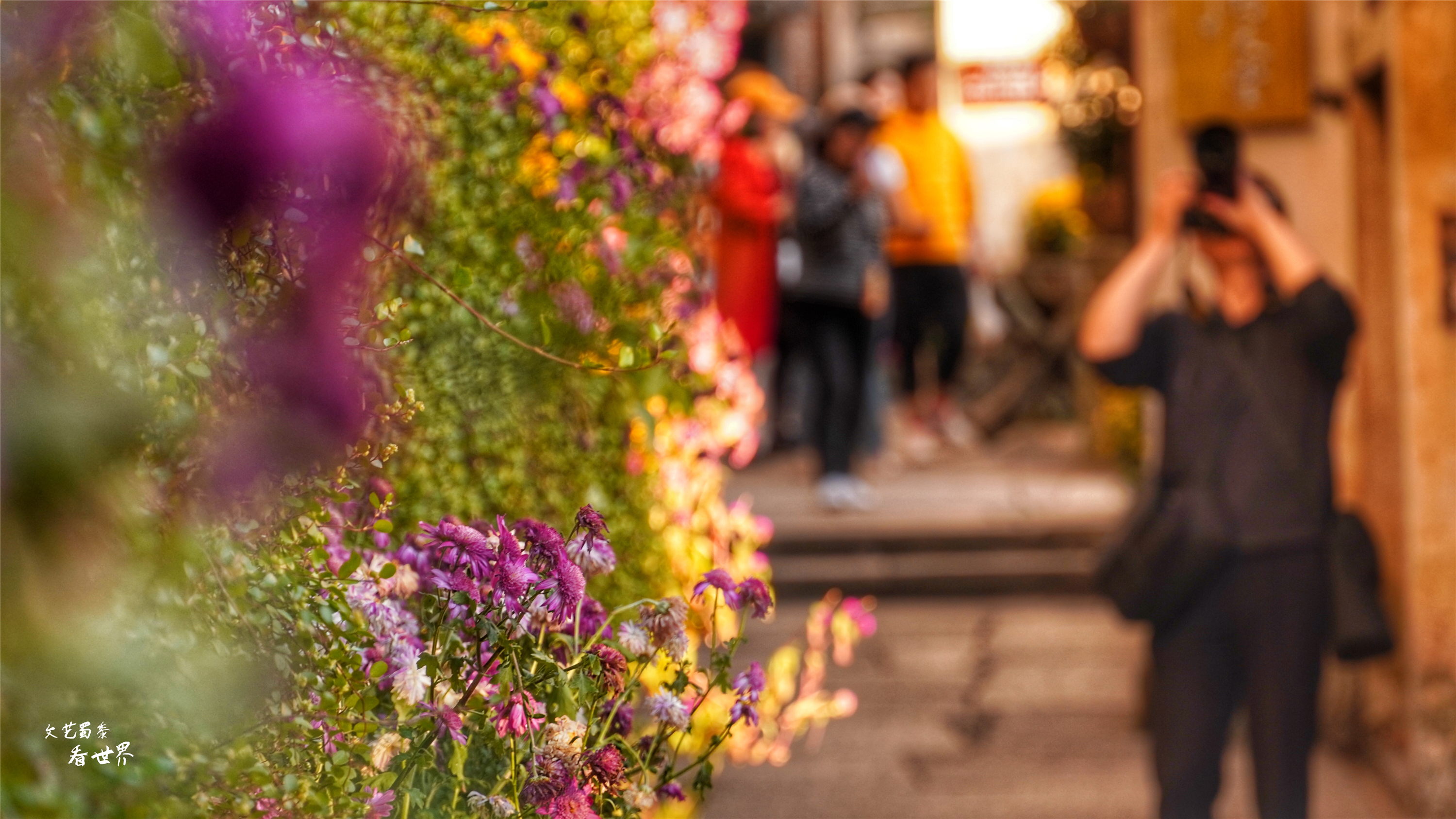 篁岭人山人海,江西婺源篁岭景区怎样玩最好