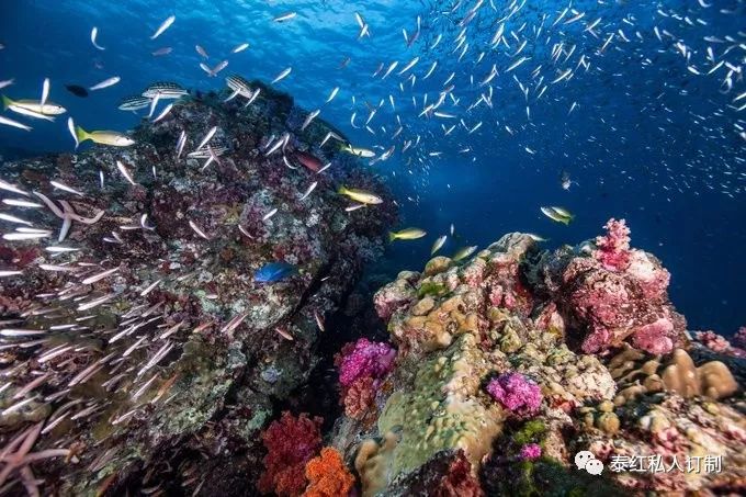 世界最美的潜水胜地,世界前十的深潜胜地