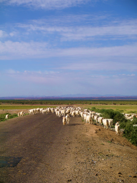 青甘大环线几月份去比较好,甘青大环线旅游跟团游旅行社报价