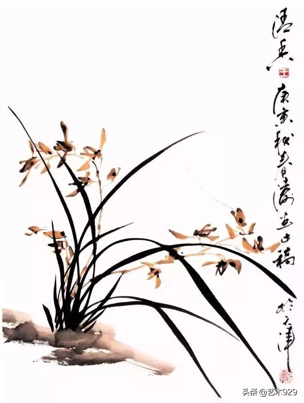 国画兰花的画法太棒了简单易学,泰国兰花绘画技法