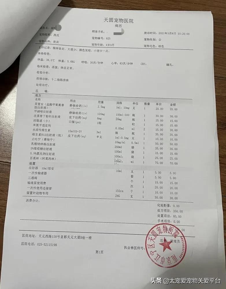 十二指肠溃疡丨太宠爱理赔案例南京天圆宠物医院