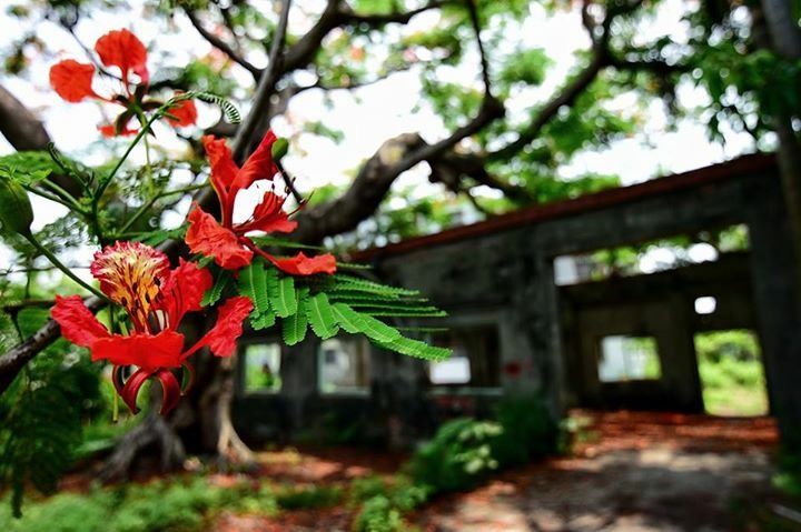 去台湾一定要去的地方,普通人去台湾攻略