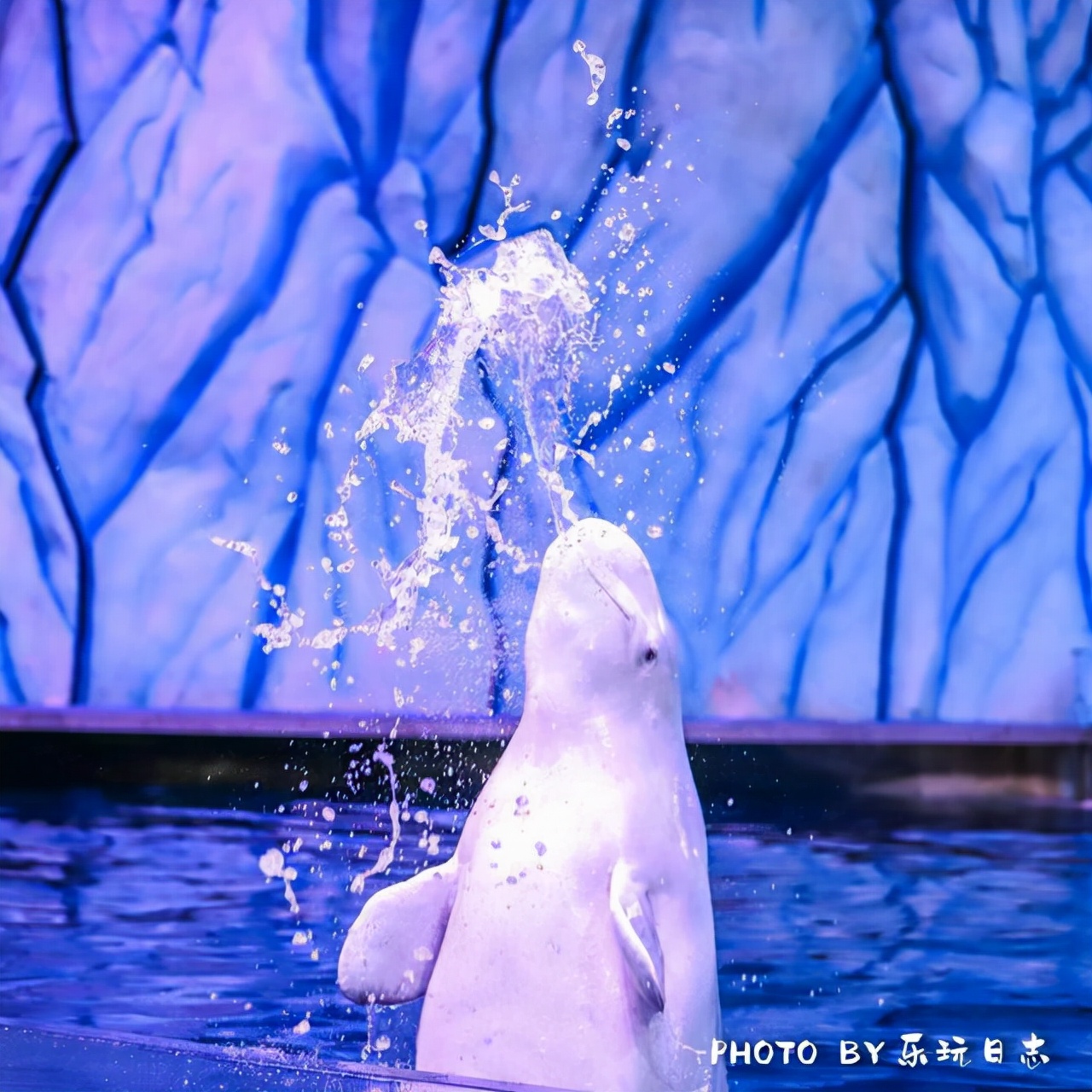 来珠海旅游必打卡的景点,春节珠海亲子游玩地方推荐