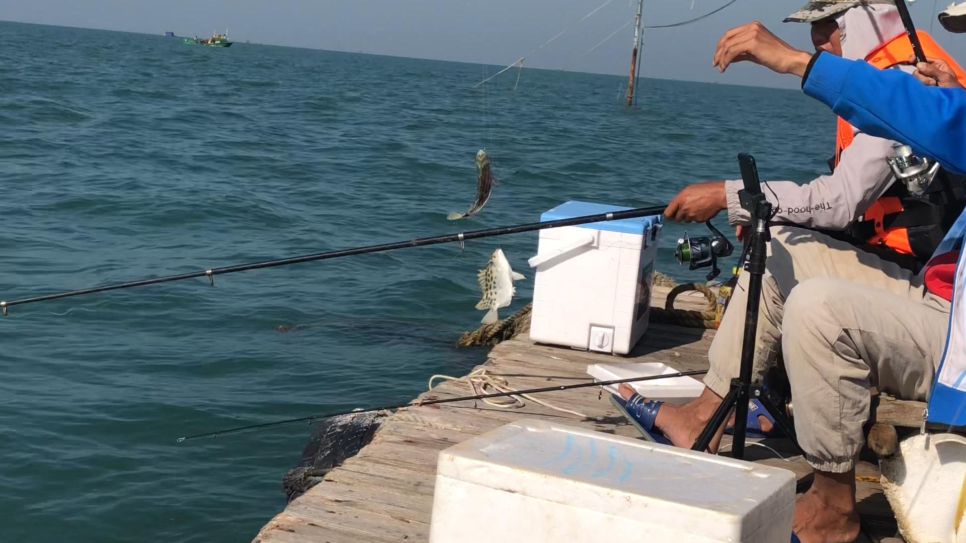 新手出海钓鱼哪里最好玩,新手出海钓鱼