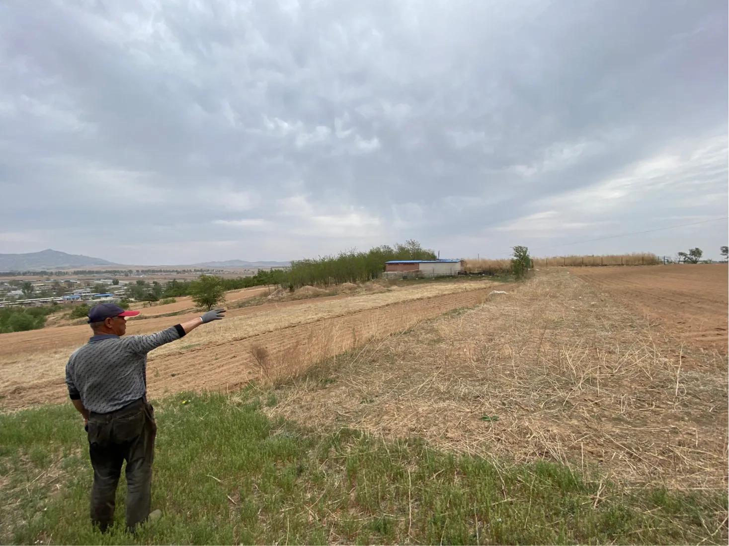 宁在殿前不在庙后是什么意思,宁住庙前不住庙后门