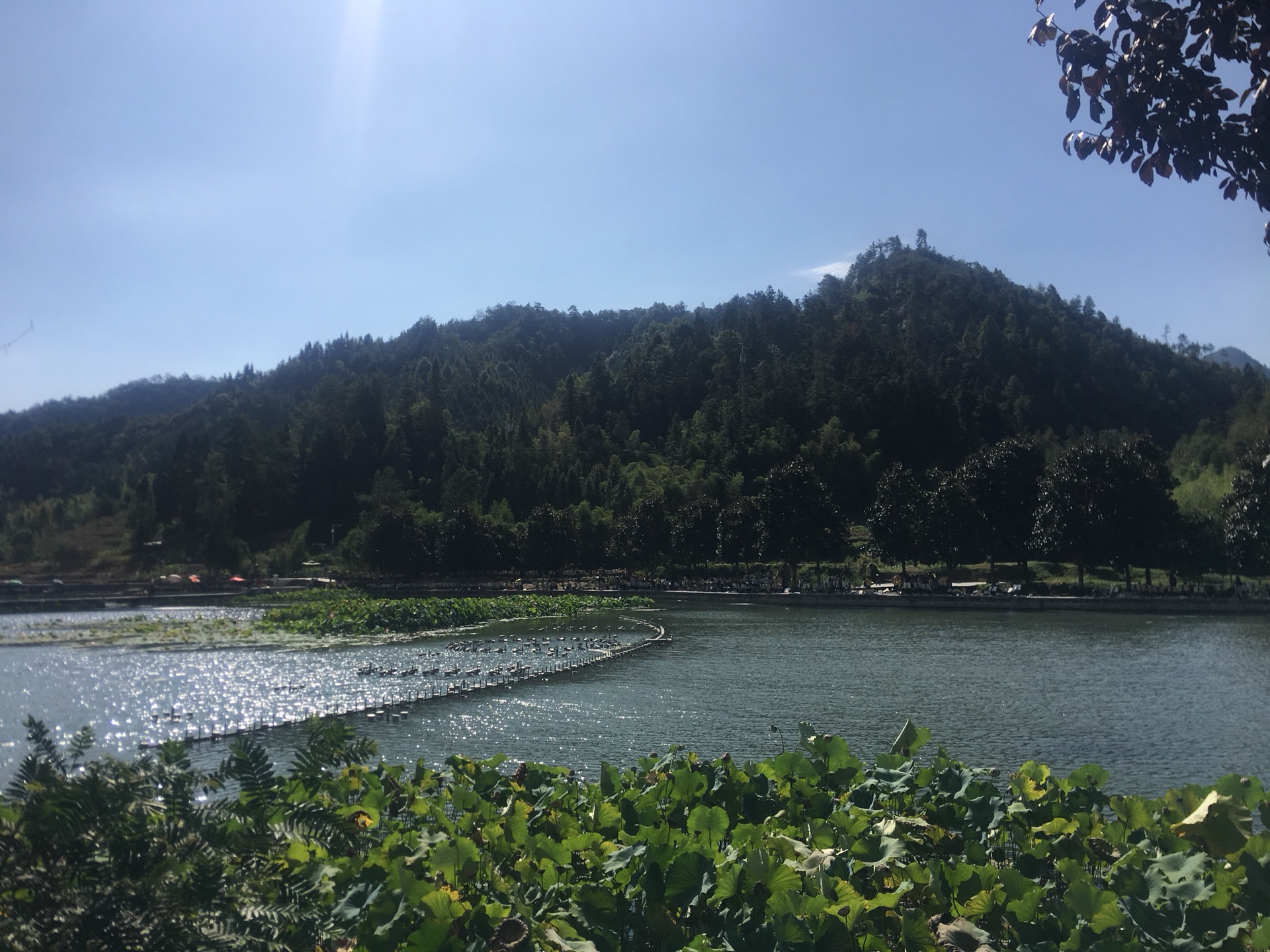 黄山西递宏村简介,西递宏村是一个景点还是两个景点