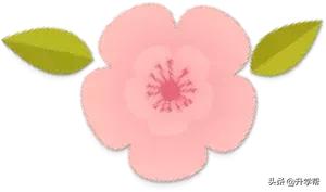 成都看花玩水,成都春游看花