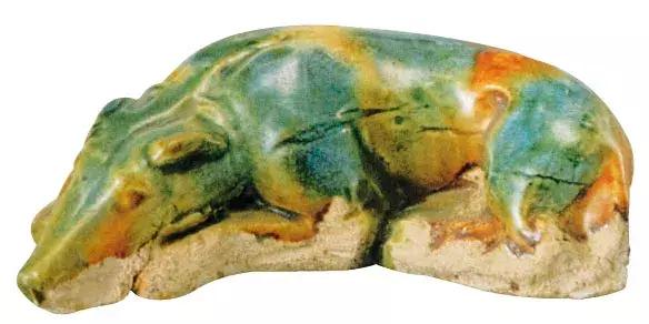 中国狗品种常见小型犬,狗狗种类中小型犬