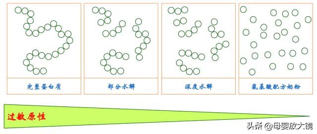 羊奶粉哪一款适合牛奶过敏宝宝,羊奶粉适合牛奶过敏宝宝喝吗