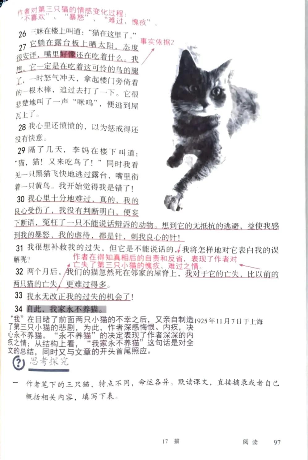 七上猫预习笔记,语文七年级上册人教版16课猫笔记