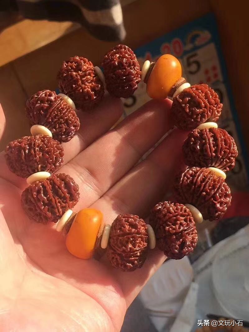 金刚菩提入门知识,新手必备,掌握了三言两语就能让别人刮目!