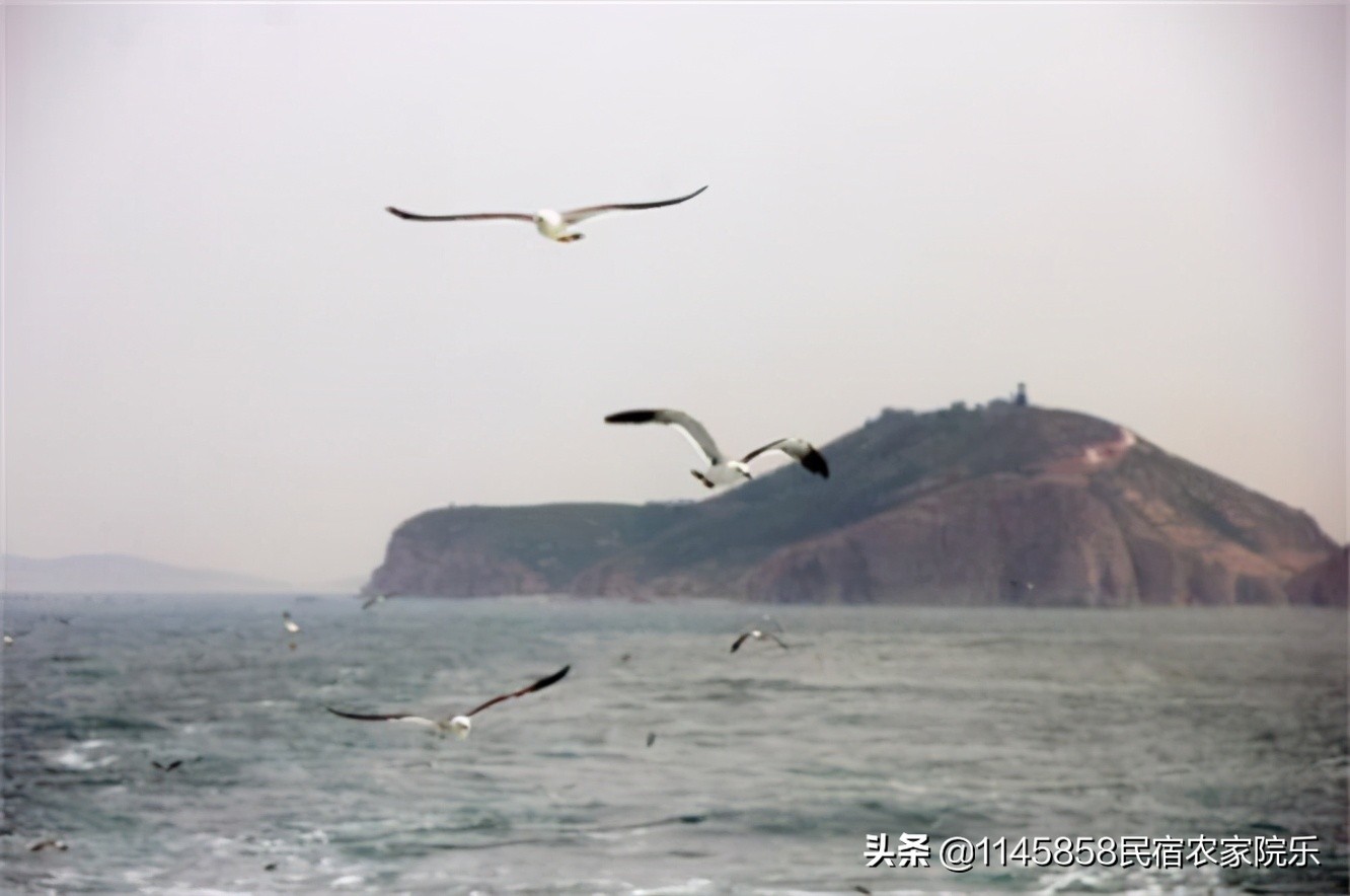 长岛老林渔家,山东长岛渔家乐