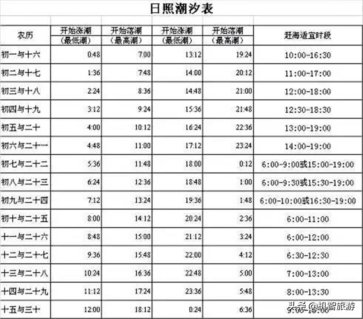 日照赶海攻略新手必看攻略,日照赶海攻略带盐