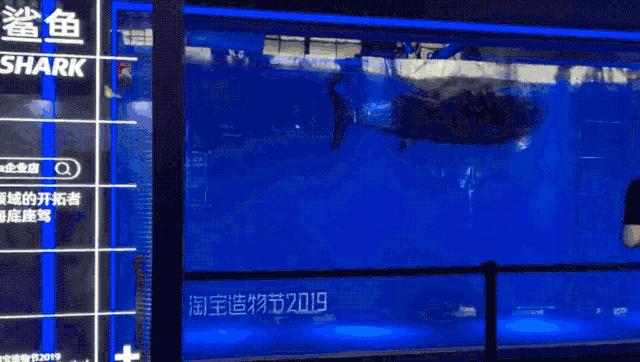 淘宝造物节值得去吗,淘宝上的造物节攻略