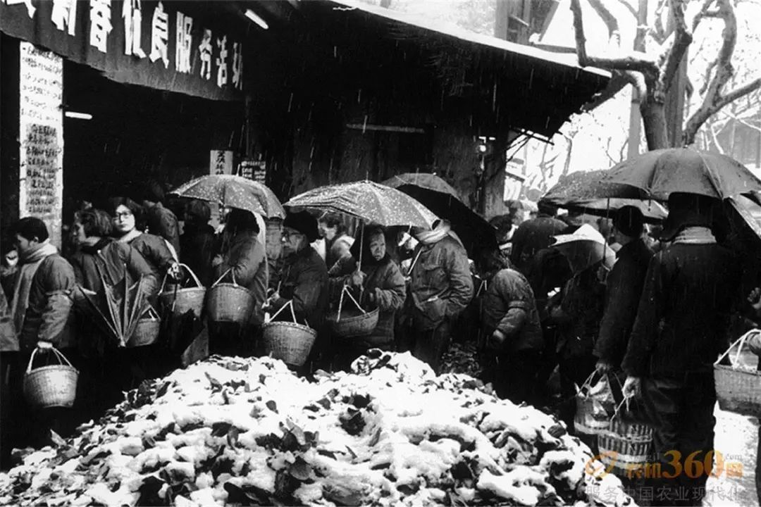 回忆童年8090过年情景,80后回忆童年过年真实视频