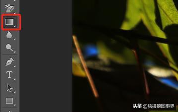 ps中的四类蒙版怎样应用,photoshop中如何添加蒙版