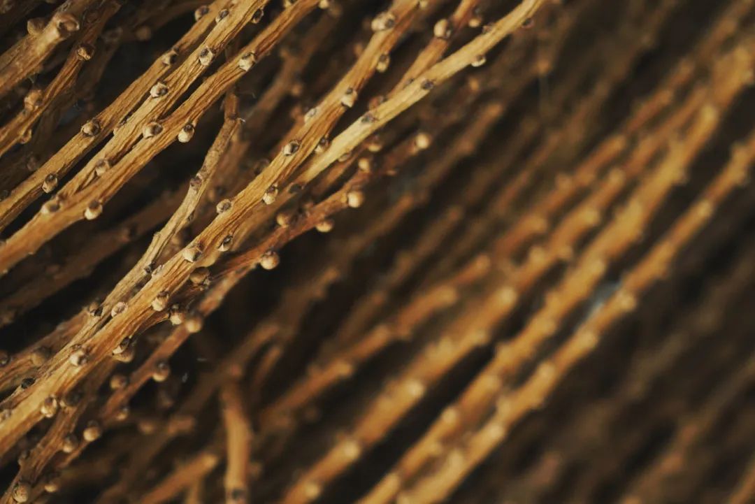 三亚这家酒店超适合度假,三亚环保酒店