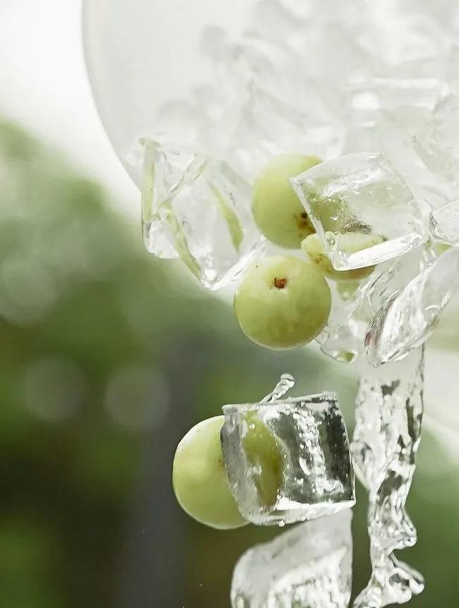 最近火爆的油柑,浓缩的油柑汁做饮品配方