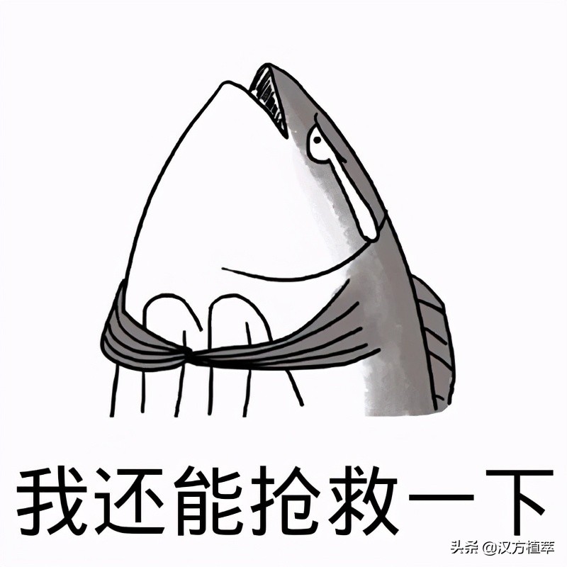 伤口撒盐和撒糖哪个疼,伤口撒盐能消毒吗