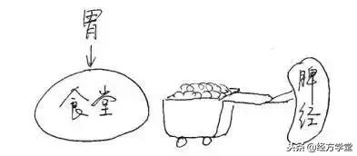 中医12经络挂图,漫画中医经络图典