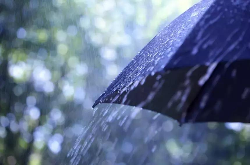 湿气重的10大征兆是什么,湿气重的人最怕这种食物你知道吗