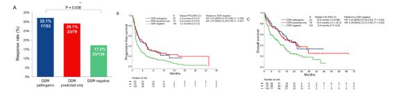 DNA损伤修复基因突变好免疫治疗关系