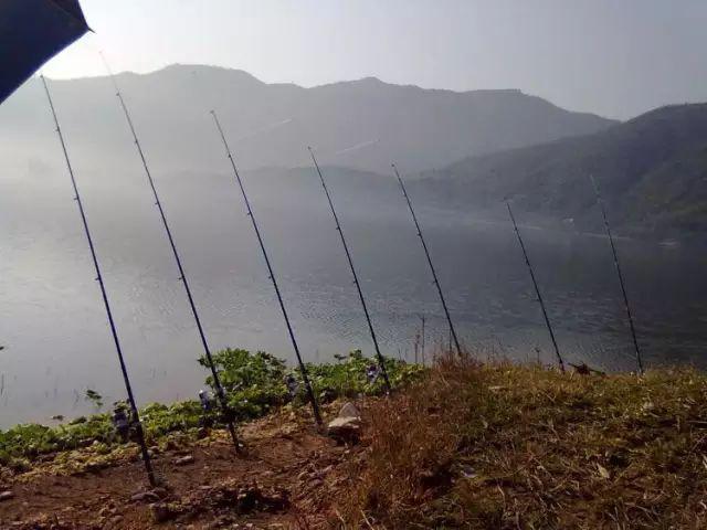 下雨过后钓鲶鱼最好的钓点,钓鲶鱼的神仙钓点在哪里