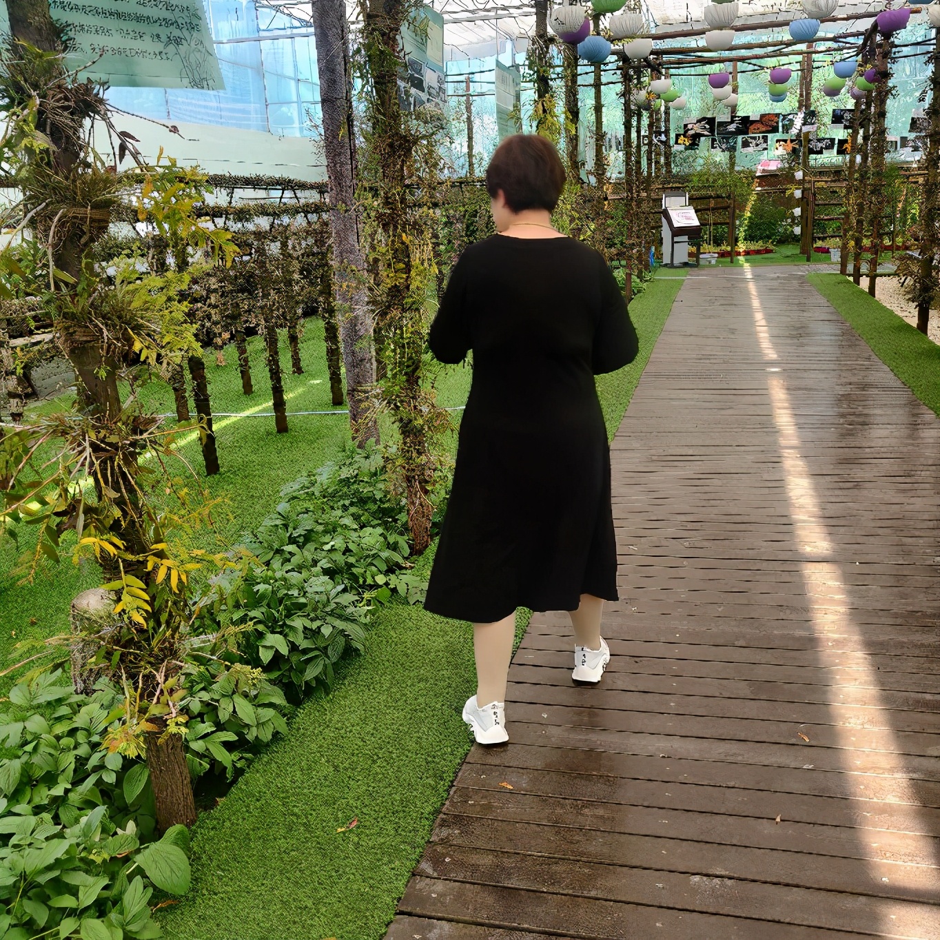 搞笑段子：骑上我心爱的小乌龟