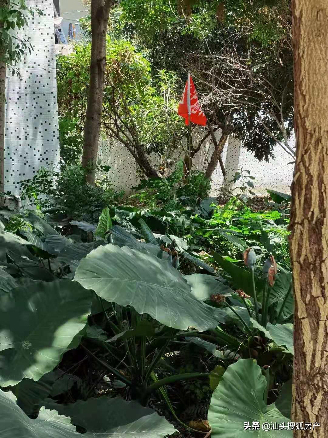 正升集团潮阳拿地,正升竞得广州白云湖产业地块