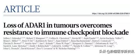 最新免疫疗法新消息,免疫疗法最近几年有大的发展吗