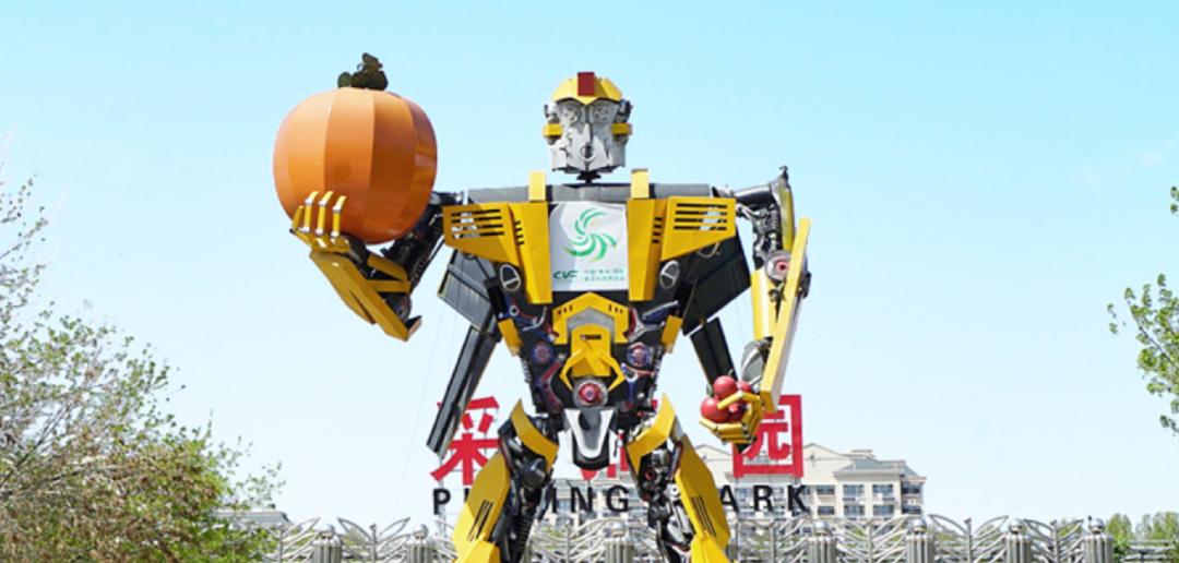 到山东不会饿着你,到山东怎么能不吃煎饼和大馒头呢