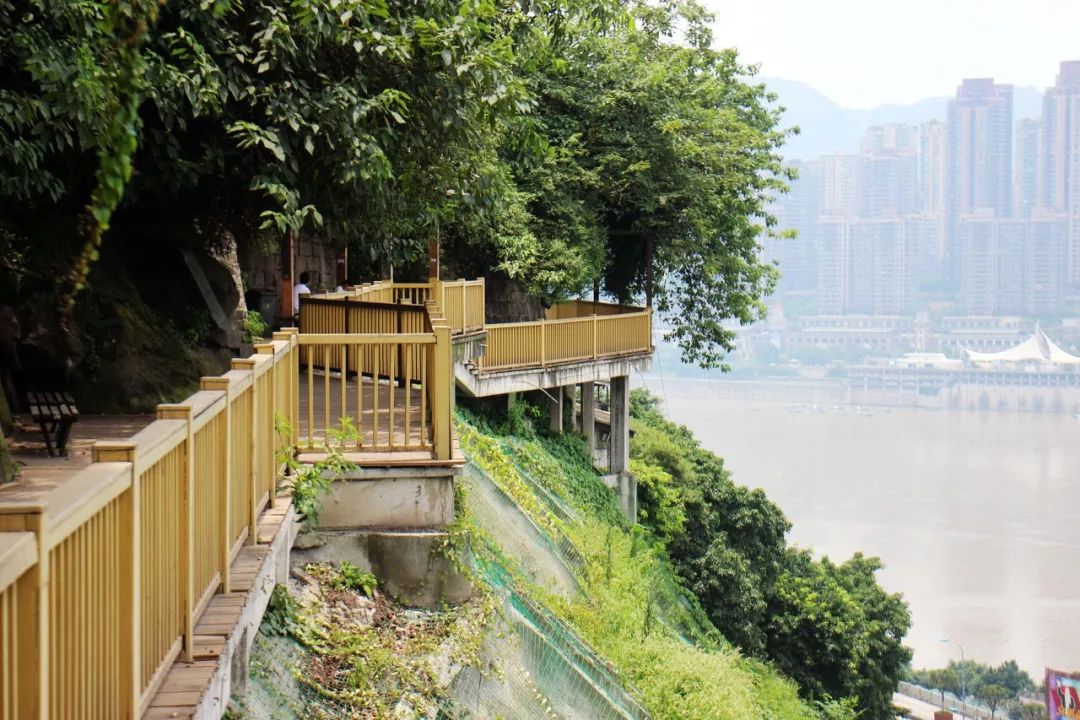 一日游重庆火锅去哪吃,旅行火锅吃法大全