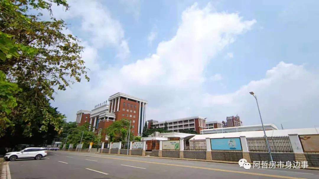 坦尾花语水岸,坦尾地铁站附近的楼盘